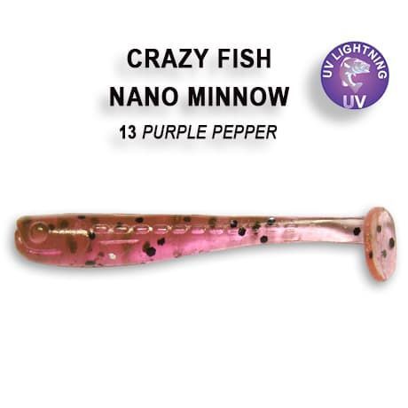 Nano minnow 1.6" 6-40-13-4