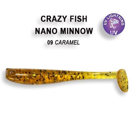 Nano minnow 1.6" 6-40-9-1