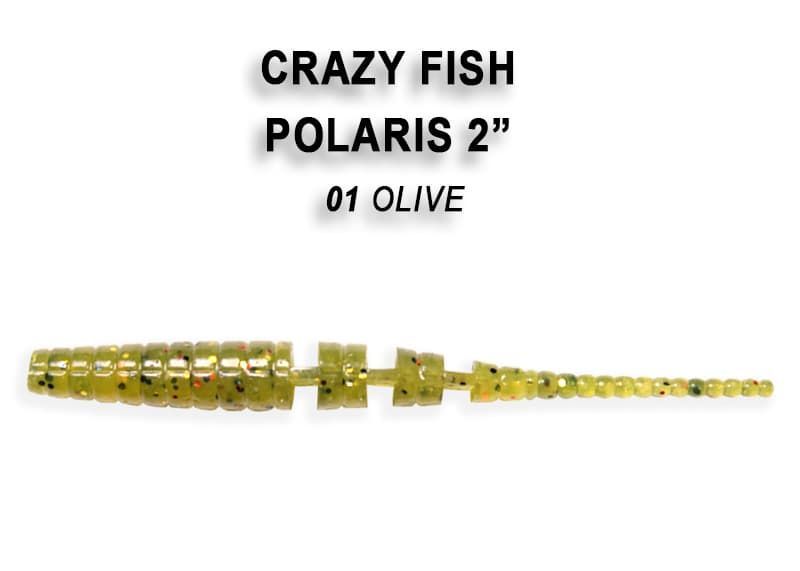 Polaris 2" 17-54-1-4