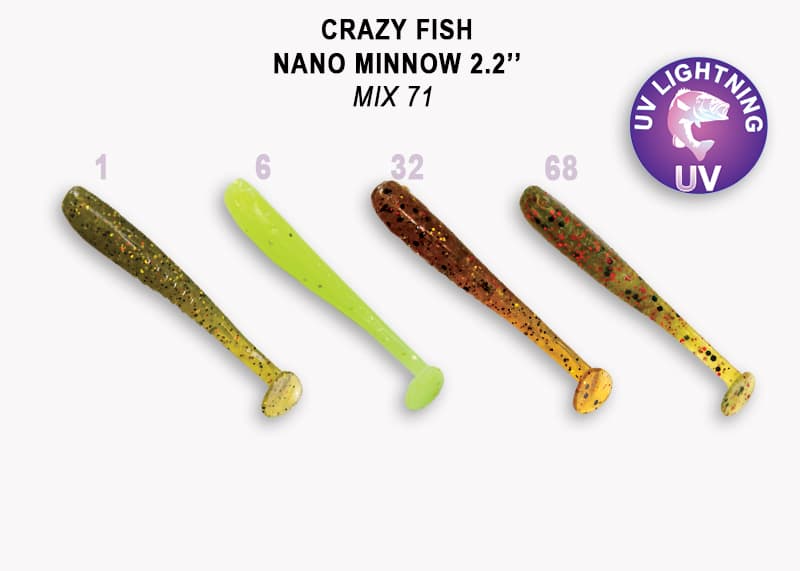 Nano minnow 2.2" 22-55-M71-6