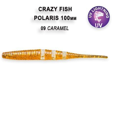 Polaris 4" 38-100-9-6