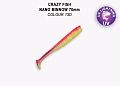 Nano minnow 2.8" 53-70-13d-7-F