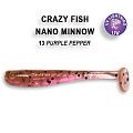 Nano minnow 1.6" 6-40-13-5