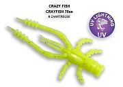 Crayfish 3" 34-75-6-6