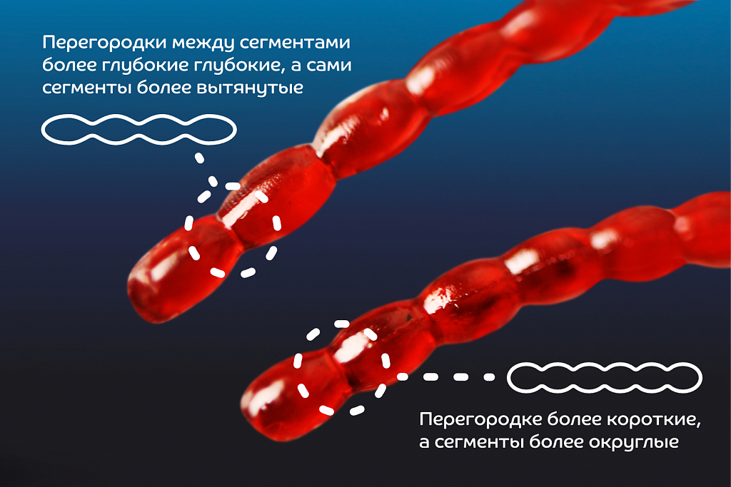 Nano worm  86-90-85-6