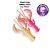 Nimble 3.2" 72-80-13d-6-F