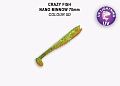 Nano minnow 2.8" 53-70-5d-7-F