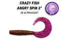 Angry spin 2" 21-45-12-4
