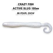 Active slug 4" 31-100-66-6