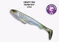 Tough 5.9" 60-150-cp05-1