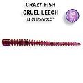 Cruel leech 2.2" 8-55-12-3