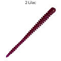 Cruel leech 2.2" 8-55-2-6 