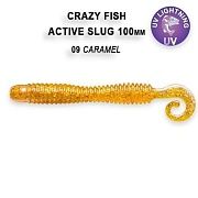 Active slug 4" 31-100-9-6