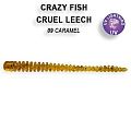 Cruel leech 2.2" 8-55-9-4