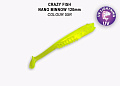 Nano minnow 5" 55-120-55R-7