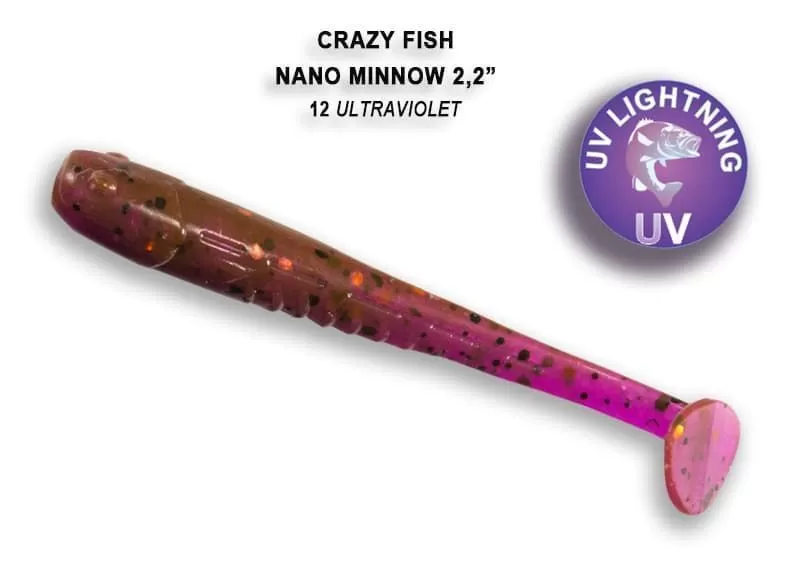 Nano minnow 2.2" 22-55-12-6