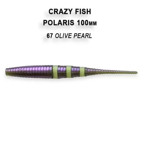 Polaris 4" 38-100-67-6
