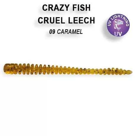 Cruel leech 2.2" 8-55-9-4